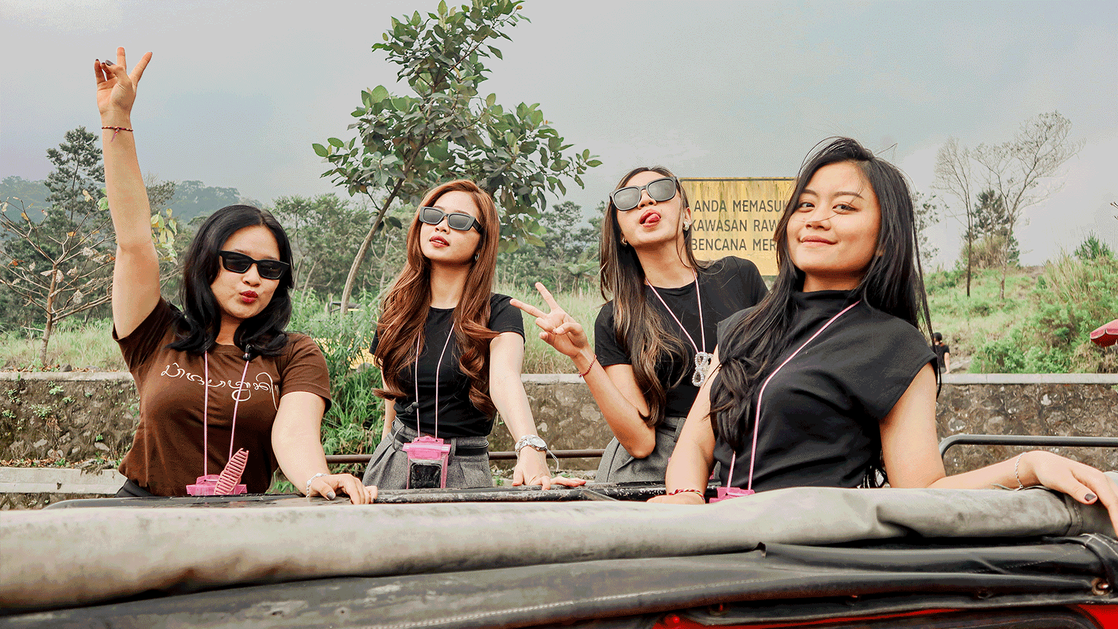 dimdimstyle Gallery 053