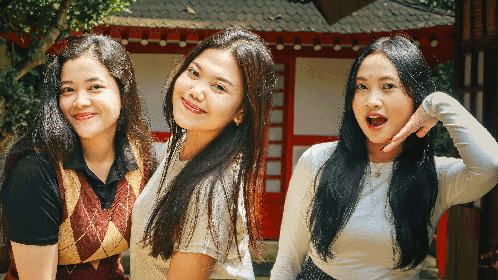 dimdimstyle Gallery 077