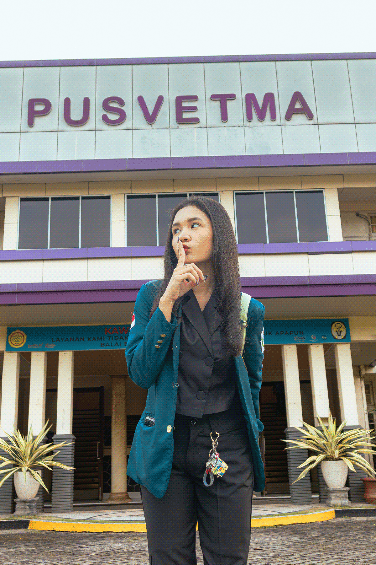 dimdimstyle Gallery 119